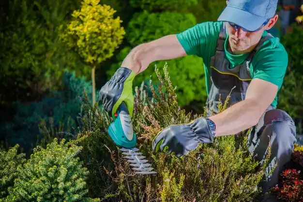 landscaping services Midland